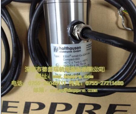 HOLTHAUSEN振動(dòng)傳感器